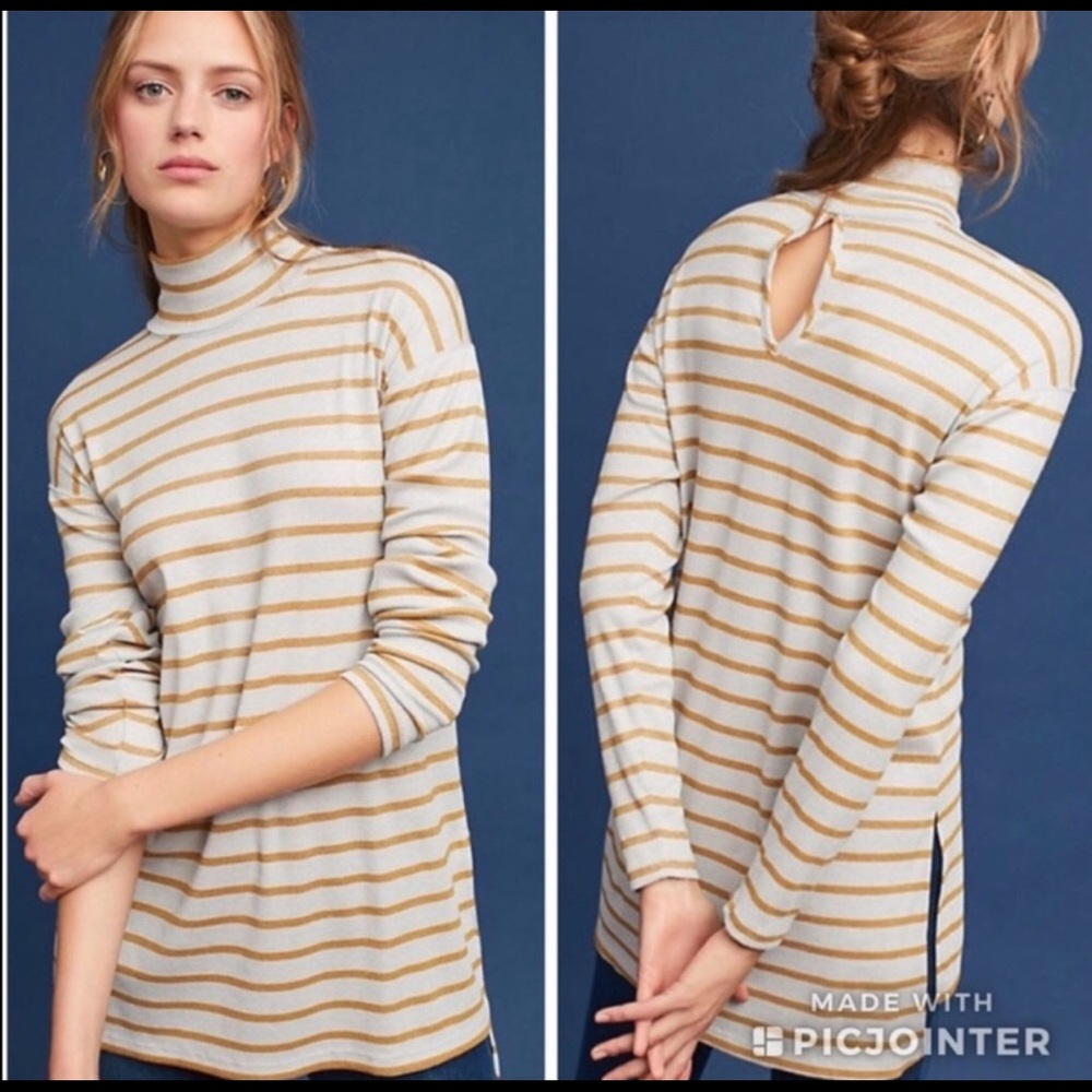 ANTHRO VANESSA VIRGINIA STRIPED TURTLENECK TUNIC